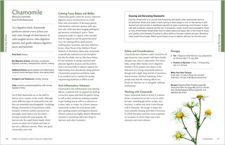 Sample content 3_Herbal Gut Health