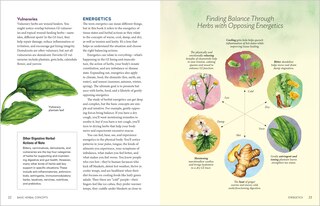 Sample content 4_Herbal Gut Health