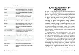 Sample content 2_Herbs for Stress & Anxiety