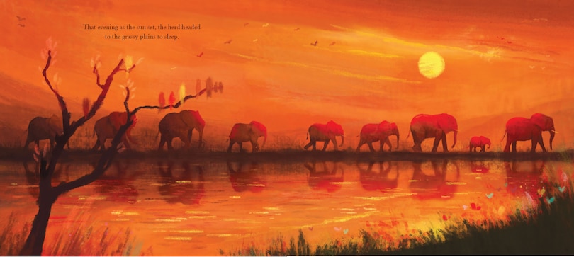 Aper&ccedil;u du contenu_HERD