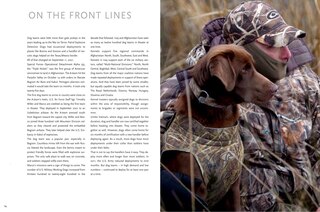 Sample content_Hero Dogs