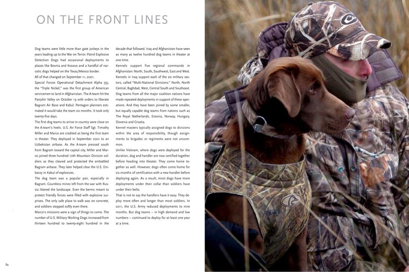 Sample content_Hero Dogs