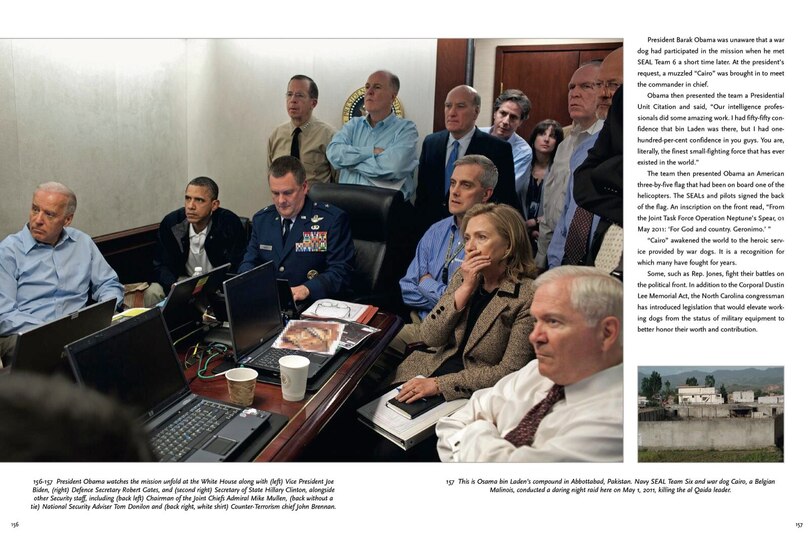 Sample content 5_Hero Dogs