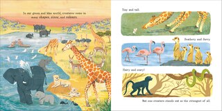 Sample content 5_Hey, Little Human