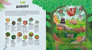 Sample content 2_Hidden Jungle