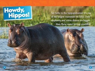 Aperçu du contenu_Hippos (National Geographic Kids Readers, Level 1)