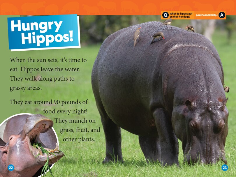 Aperçu du contenu 3_Hippos (National Geographic Kids Readers, Level 1)