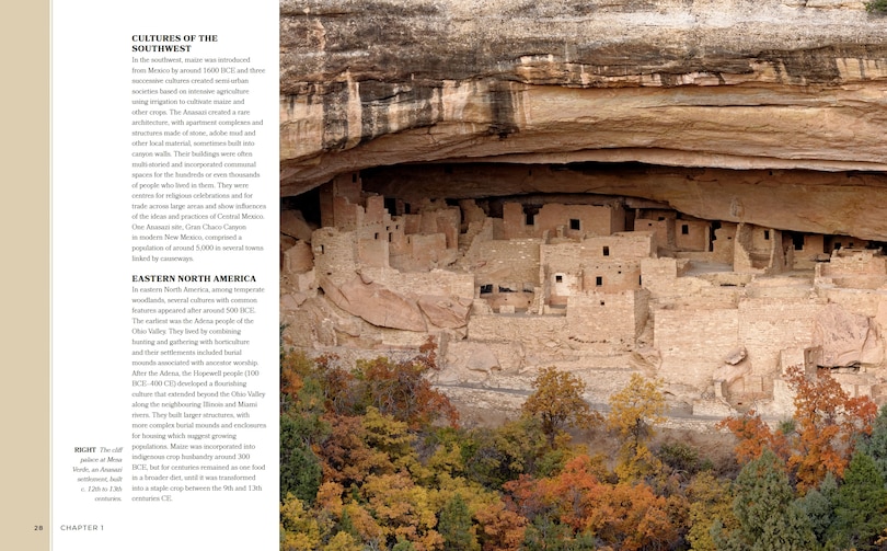 Sample content 2_HISTORY OF THE AMERICAS