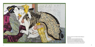 Aper&ccedil;u du contenu 3_Hokusai