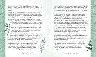 Sample content 4_HOLISTIC WITCH