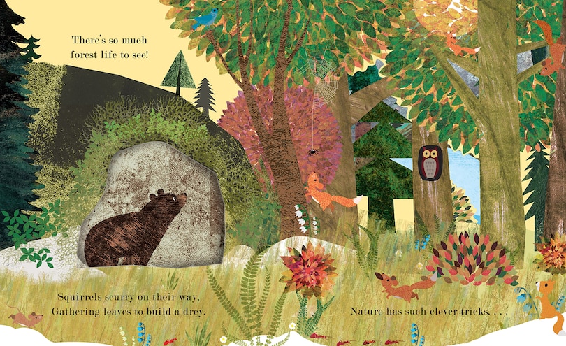 Aperçu du contenu 2_Home: A Peek-Through Board Book