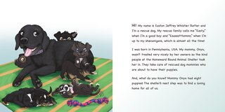 Sample content_Homeward Bound