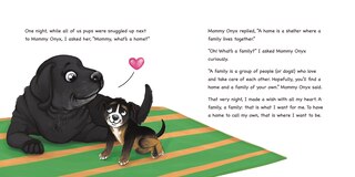 Sample content 2_Homeward Bound