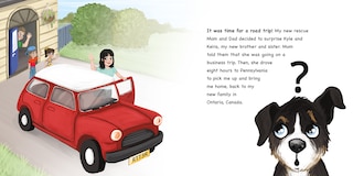 Sample content 4_Homeward Bound