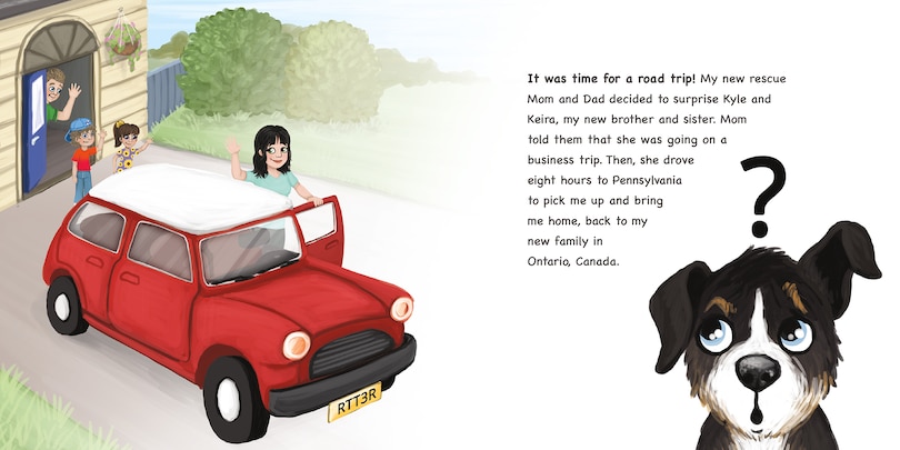 Sample content 4_Homeward Bound