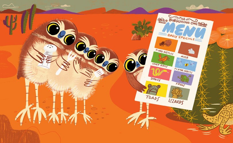 Aperçu du contenu_Horned Toad Has a Superpower