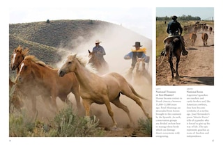 Aperçu du contenu 4_Horses