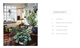 Sample content_Houseplant