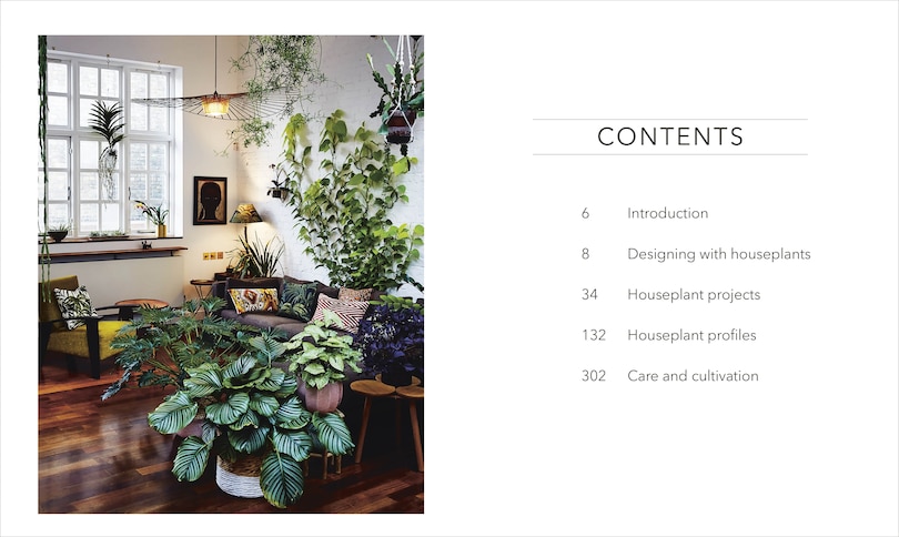 Sample content_Houseplant