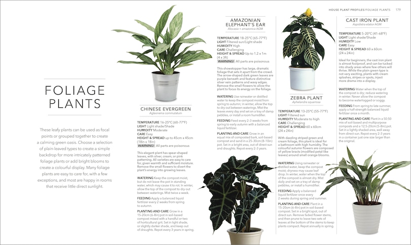 Sample content 4_Houseplant