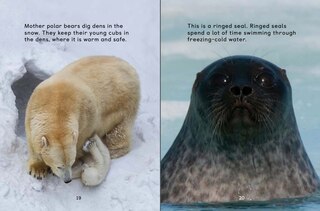 Aperçu du contenu_How Animals Survive In The Cold