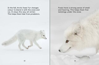 Aperçu du contenu 4_How Animals Survive In The Cold