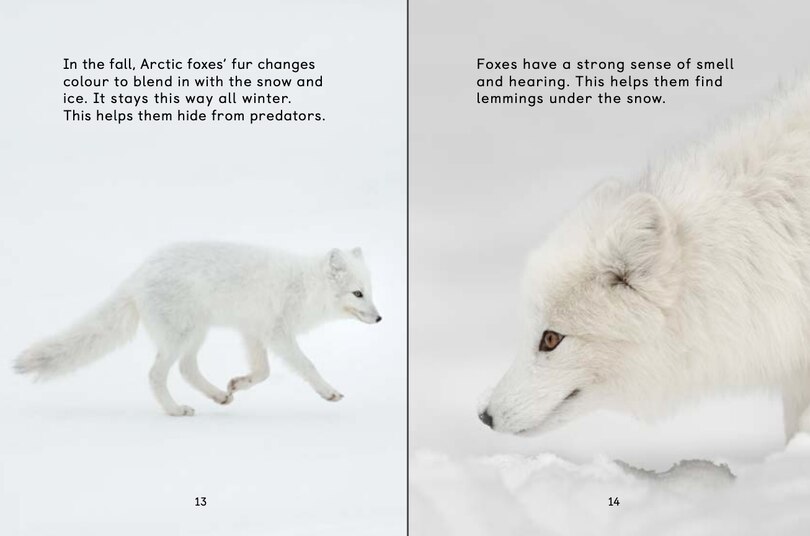 Aperçu du contenu 4_How Animals Survive In The Cold