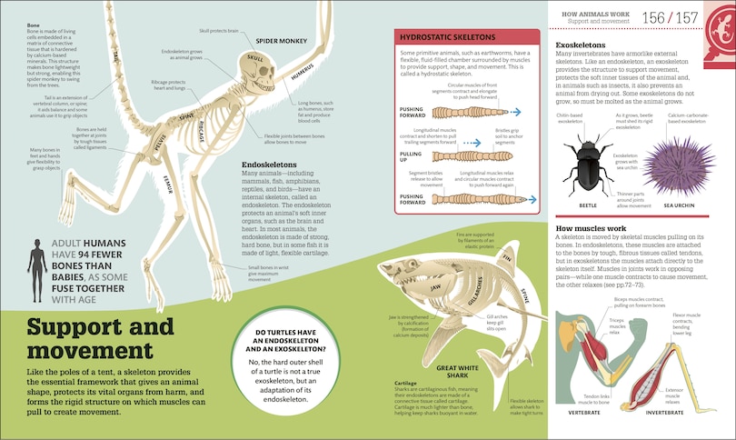 Sample content_How Biology Works