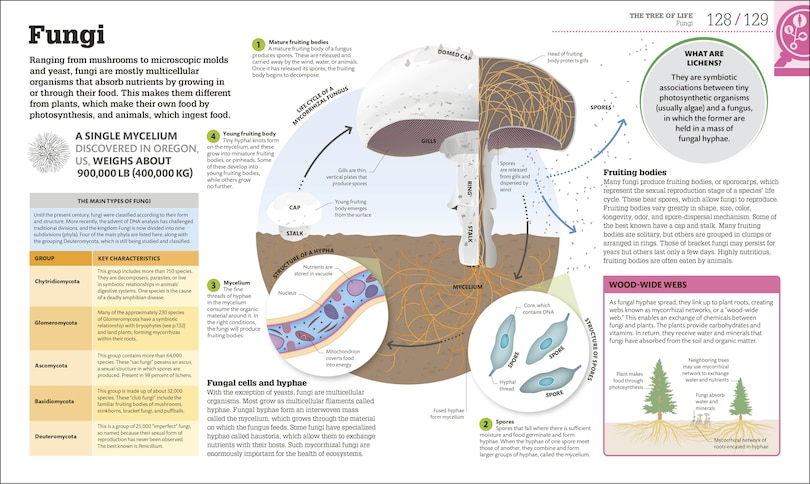 Sample content 3_How Biology Works