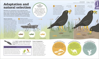 Sample content 4_How Biology Works