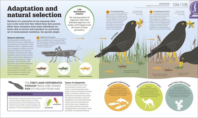 Sample content 4_How Biology Works