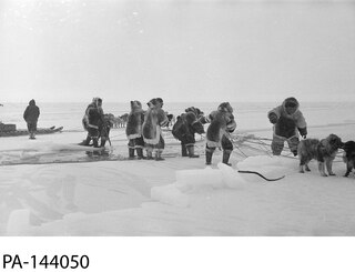 Sample content_How Different It Was