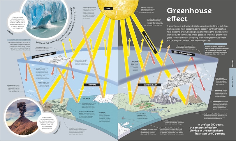 Sample content_How Everything Works