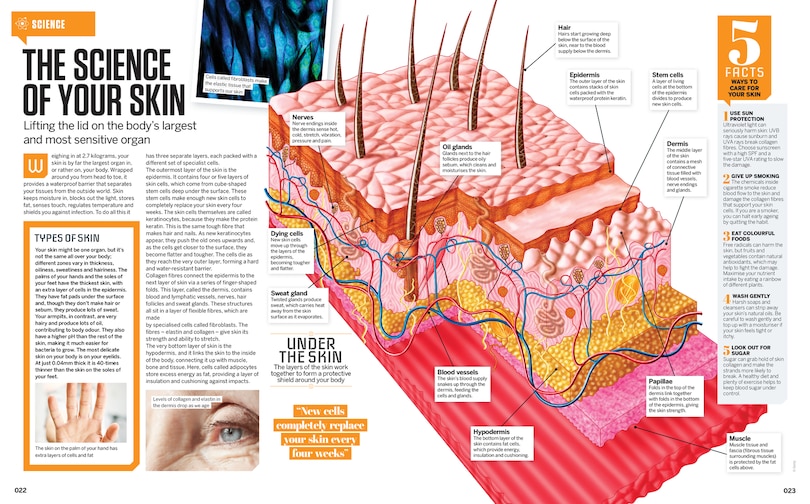 Sample content 3_How it Works: Book of Amazing Cutaways