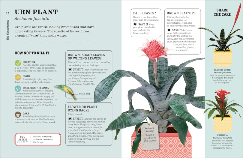 Aperçu du contenu 4_How Not to Kill Your Houseplant New Edition