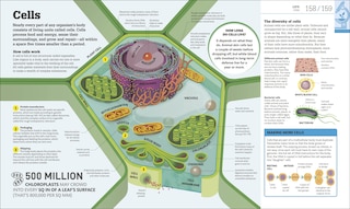 Sample content 2_How Science Works