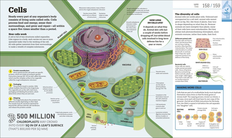 Sample content 2_How Science Works