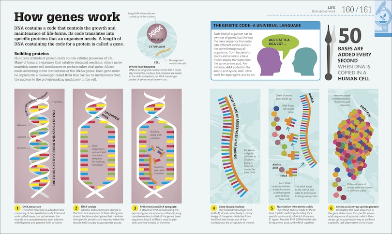 Sample content 3_How Science Works