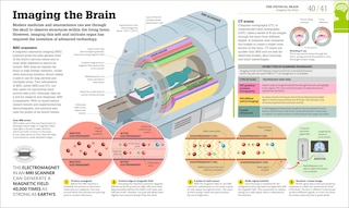 Sample content_How The Brain Works