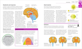 Sample content 3_How The Brain Works