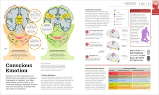 Sample content 4_How The Brain Works