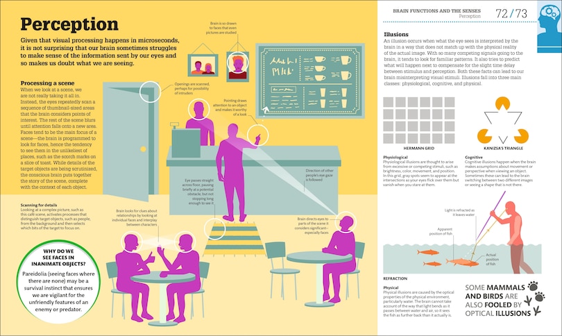 Sample content 5_How The Brain Works