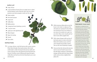 Sample content 3_How to Be a Color Wizard: Forage and Experiment with Natural Art Making