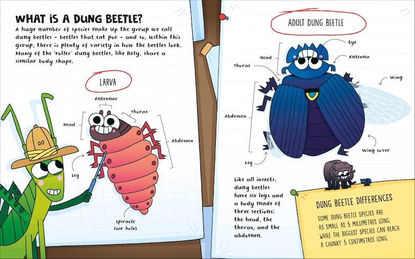 Sample content 3_How to Be a Dung Beetle