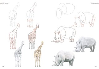 Sample content_How to Draw Animals in Simple Steps