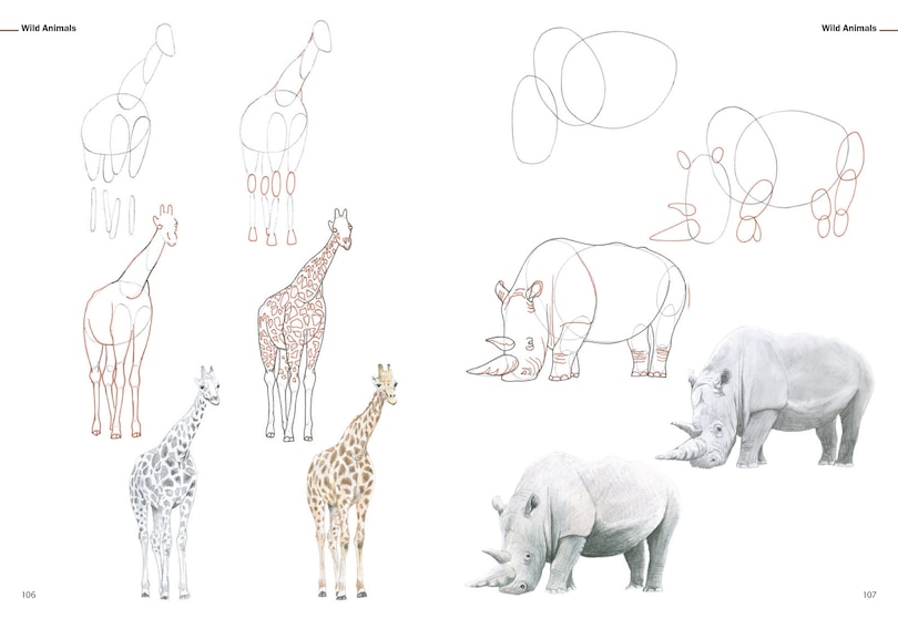 Sample content_How to Draw Animals in Simple Steps