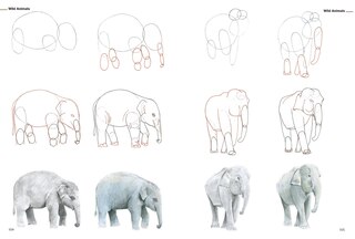 Sample content 2_How to Draw Animals in Simple Steps