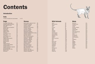 Sample content 3_How to Draw Animals in Simple Steps