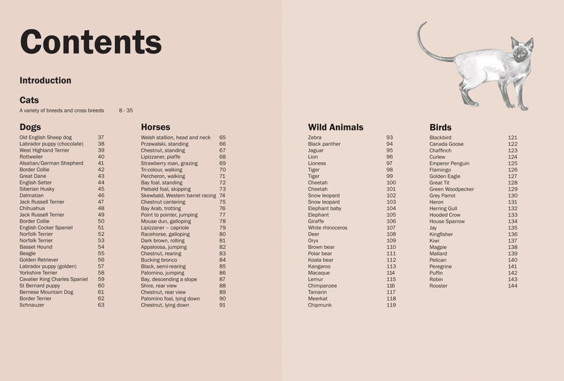 Sample content 3_How to Draw Animals in Simple Steps