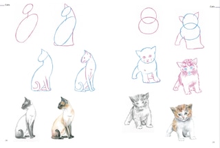 Sample content 5_How to Draw Animals in Simple Steps